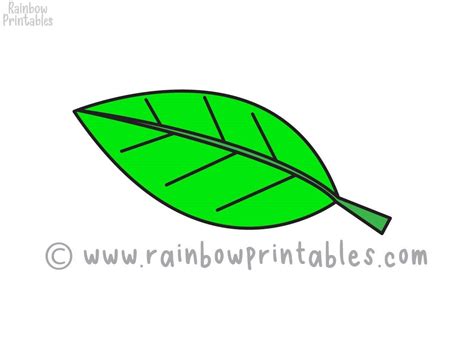 How To Draw a Cartoon Green LEAF (Step by Step for Beginners and Kids) - Rainbow Printables