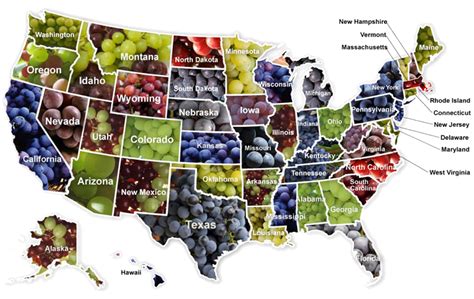 USA wine regions • Hayward Brothers Wines