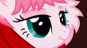 Fluffle Puff My Little Pony GIF - FlufflePuff MyLittlePony Eyebrows - Discover & Share GIFs