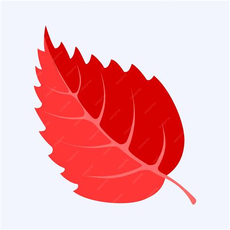 Premium Vector | Red leaf