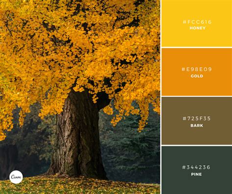 Canva on Twitter: "Color Combinations: Harvest Gold. Try this Fall inspired palette in your next ...