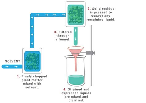 A Comprehensive Guide to Essential Oil Extraction Methods