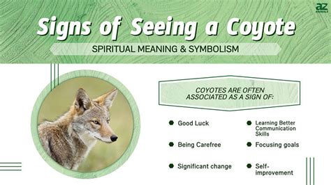 Spiritual meaning of a coyote