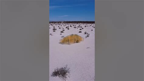 Art Installations & the desert 🏜️#California #JoshuaTree #desertx #desertx2023 #ViviTravels ...