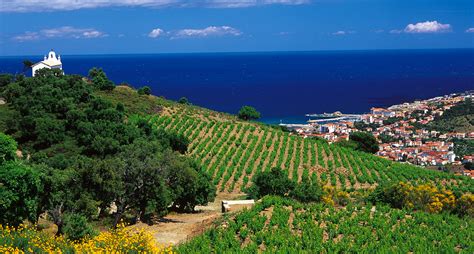 Visit the Roussillon vineyards - wine tourism