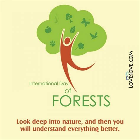 International Day Of Forests Best Quotes, Wishes & Messages