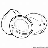 Coconut Coloring Printable Pages sketch template