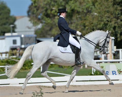 Australian Young Rider Dressage Championships | Equestrian New South Wales