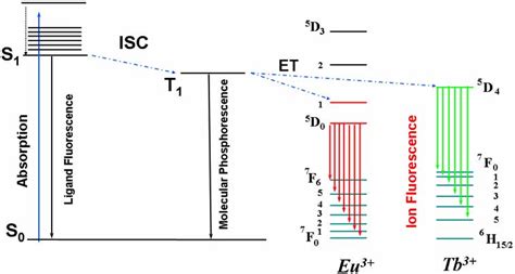 Jablonski diagram expliciting the energy transfer to the Eu(III) and ...