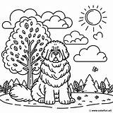 Newfoundland coloring page Download Or Print For Free sketch template