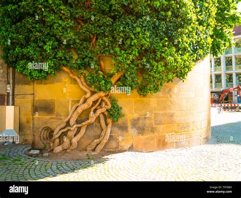 Old Castle Stuttgart Stock Photo - Alamy