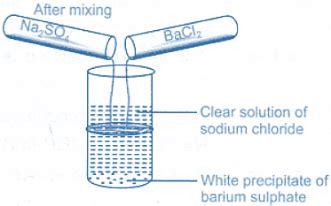 AIM To perform and observe the reaction between sodium sulphate and ...