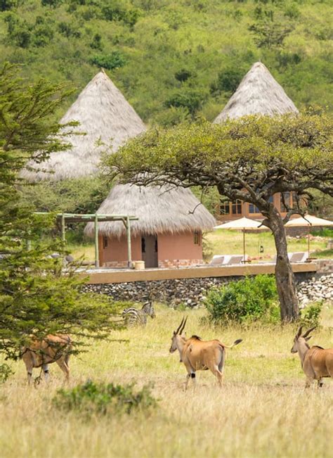 Mara Conservancies || Ongeri Expeditions