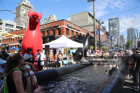 The Day Of The Dog Festival in Canada | Anadolu Images