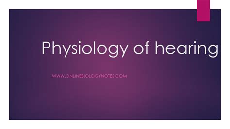 Physiology of hearing - Online Biology Notes