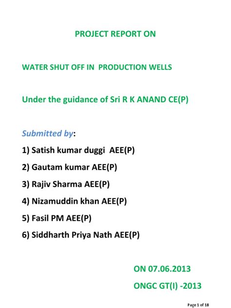 Project Report - Water Shut Off | PDF | Petroleum Reservoir | Oil Well