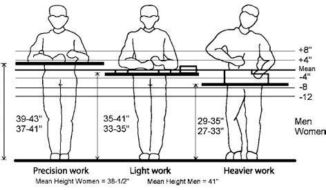 standing work surface height - Google Search | Workbench height, Workbench, Workbench on wheels