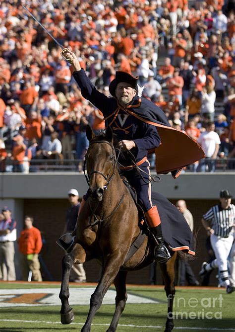 Virginia Cavaliers Mascot at Football Game Photograph by Jason O Watson ...