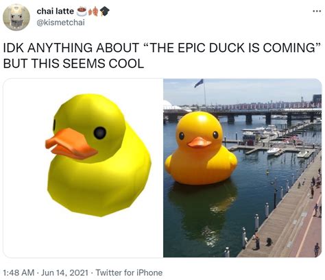 IDK ANYTHING ABOUT “THE EPIC DUCK IS COMING” BUT THIS SEEMS COOL | Epic ...