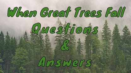 When Great Trees Fall Questions & Answers - WittyChimp