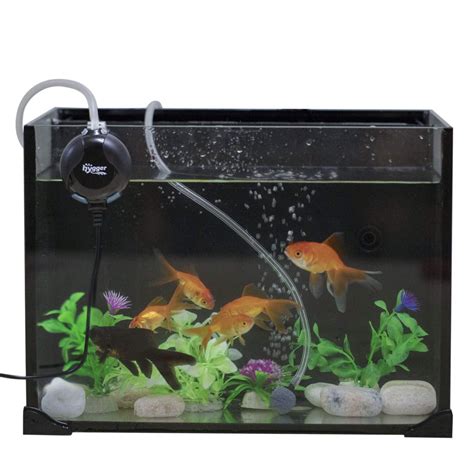 Best 15 Gallon Fish Tank: Aquarium Reviews and Setup Ideas