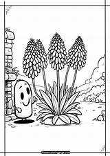 Free Red Hot Poker Coloring Pages Printable PDF  Flower Page sketch template