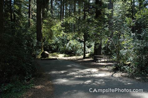 Jessie M. Honeyman State Park - Campsite Photos, Availability Alerts