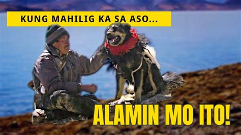 MGA BREEDS NG ASO NA SOBRANG TAGAL NA SA MUNDO | Oldest Dog Breeds in the World - YouTube