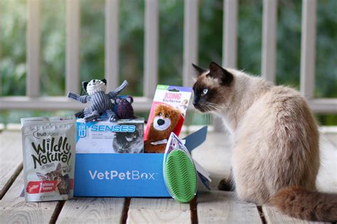 VetPet Box - Modern Cat