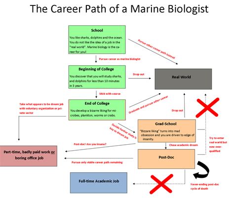 The Career Path of a Marine Biologist