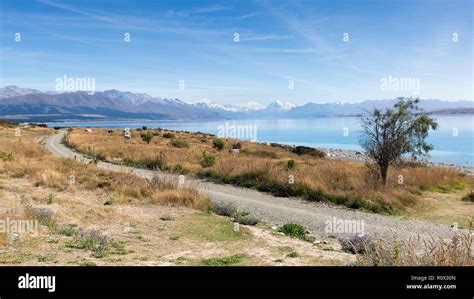 Lake Pukaki and Mount Cook / Aoraki Stock Photo - Alamy