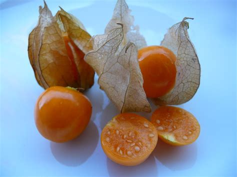 The Nutritional and Health Benefits of Rasbhari, Cape Gooseberries, or Golden Berries - CalorieBee