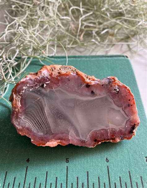 Agate Geode Thunder Egg Agate Polished Thunder Egg Flower | Etsy