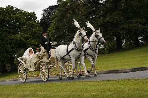 Horse & carriage - Dream Irish Wedding