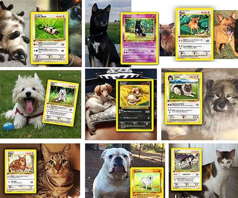 Step by Step Studio Pet Pokemon Card - NoveltyStreet