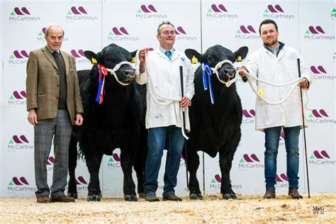 Aberdeen-Angus Show at Worcester Market 15th April 2023 - Aberdeen ...