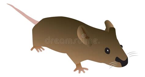 Brown Cartoon Mouse stock vector. Illustration of vector - 163026275