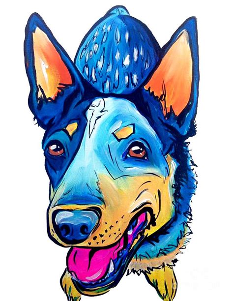 Blue Heeler Painting by Abbi Kay