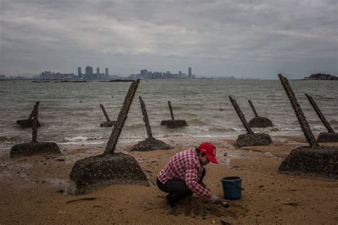 Once a Cold War Flashpoint, a Part of Taiwan Embraces China’s Pull ...