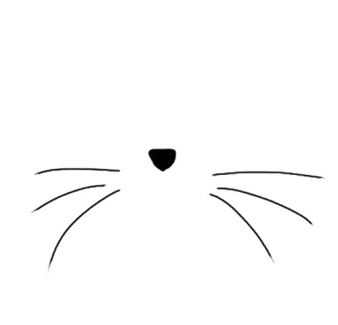 cat whiskers drawing - Clip Art Library