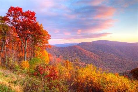 Here’s When Fall Foliage Will Peak Around DC - Washingtonian