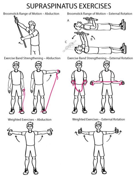 Supraspinatus Exercises | Shoulder rehab exercises, Rotator cuff exercises, Physical therapy ...