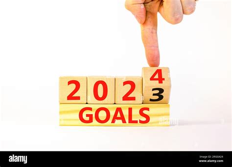 Reddit Goals For 2024 - Brande Shanna