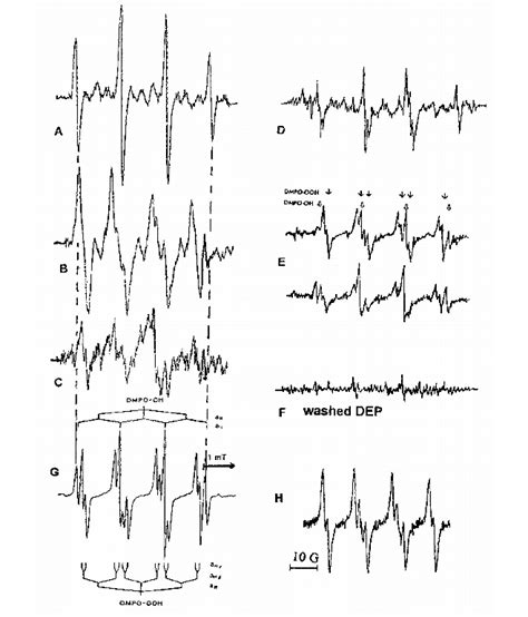 X.3. Representative EPR measurements of O 2 @BULLET– | Download ...