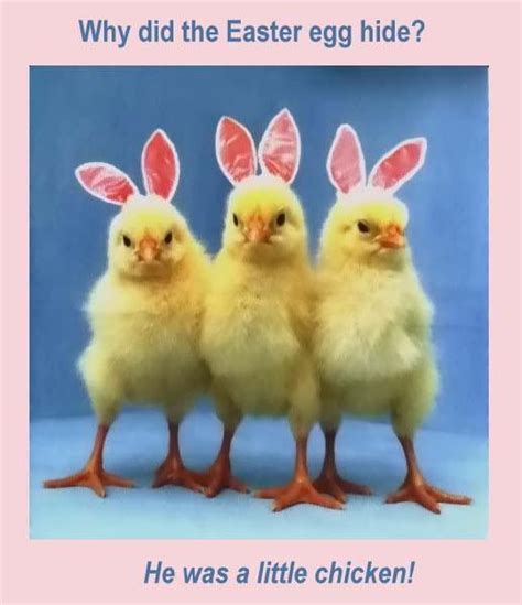 Easter Joke Pictures, Photos, and Images for Facebook, Tumblr ...