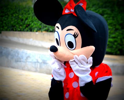 Minnie Mouse (a) Free Stock Photo - Public Domain Pictures