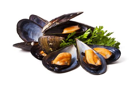 Whole Mussels