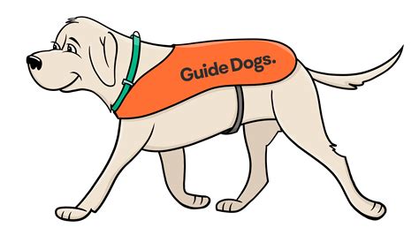 Guide Dogs : Guide Dogs