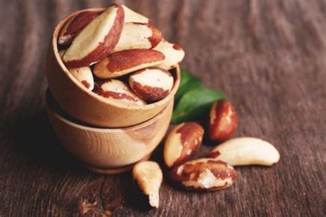 Brazil Nuts: Planting Guide, Care, Problems and Harvest