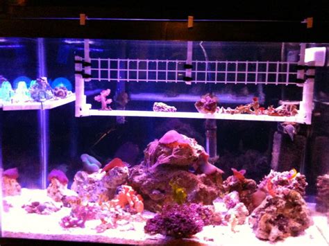 DIY Frag Rack | REEF2REEF Saltwater and Reef Aquarium Forum